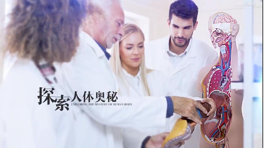 《人体形态学》海南省高校精品课程正式上线 